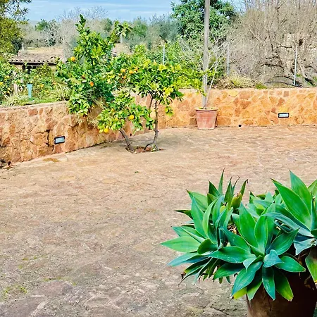 Ses Barraques Holiday home *